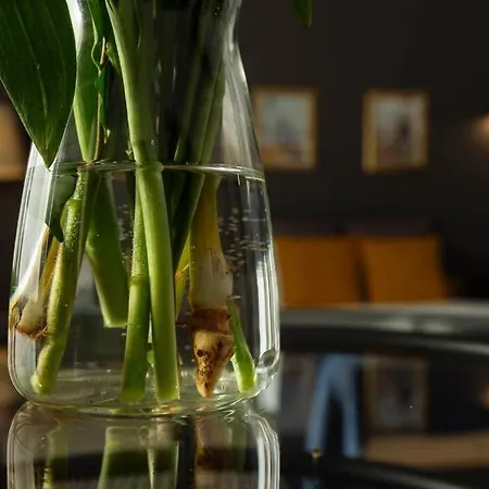 Millo Next To Cismigiu Park * Bucharest