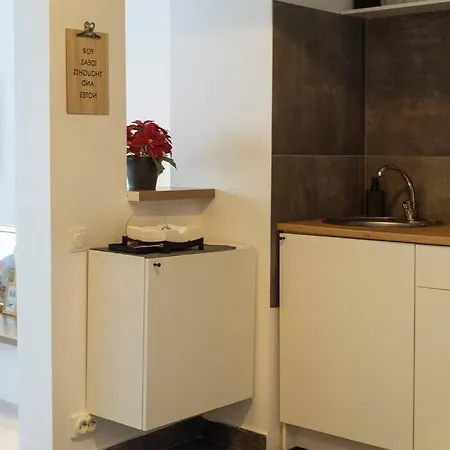 Millo Next To Cismigiu Park Bukareszt