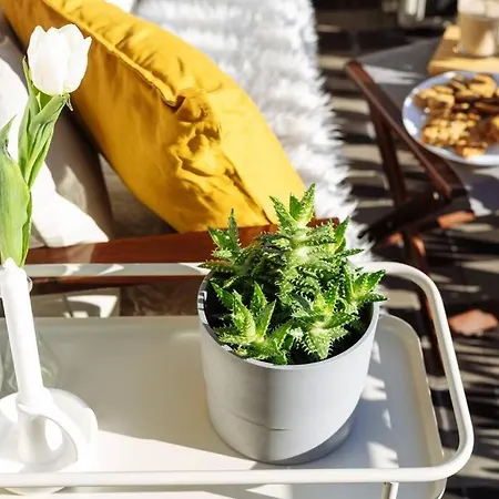 Millo Next To Cismigiu Park Appartement Boekarest