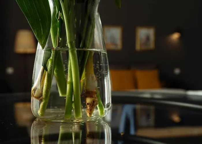 Millo Next To Cismigiu Park * Bukarest